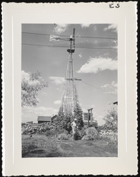 Aermotor windmill covered in foliage at bottom, copy 1