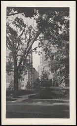Entrance to University of Michigan Law quadrangle, copy 1