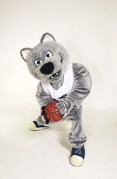 Mascot, Alphie-basketball, 2005