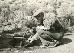 Gold panning in Nevada