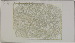 Thin section 54NC327, plagioclaise amphibolite - meta andesite