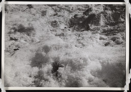 Hoarfrost snow patch, copy 2