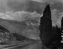 Washoe Valley road and trees