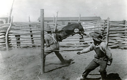 Two cowboys roping a bucking horse in a corral