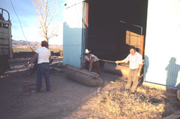 Basque sheepherders preparing wool