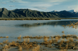 Photograph of Crescent Valley, Nevada, June 2, 1997