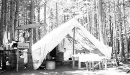 Camp Carson Valley