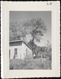 House in tree covered site, copy 1