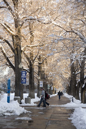 Students on campus, Quad, 2010