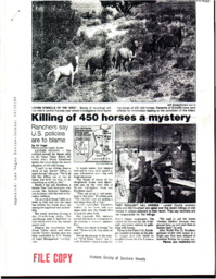 Killing of 450 horses a mystery