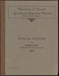 Annual Report for Washoe County