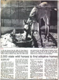 Newspaper Clipping, "State wild horses find adoptive homes"