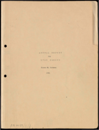 Annual Report for Lyon County