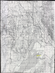Aerial census map