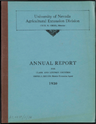 Annual Report for Clark and Lincoln Counties
