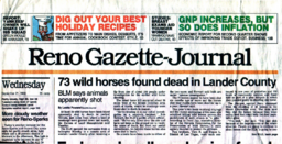 73 wild horses found dead in Lander County