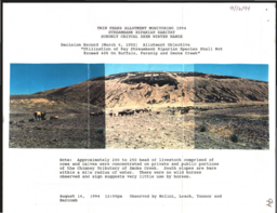 Nevada Department of Wildlife Twin Peaks allotment monitoring photos, streambank riparian habitat