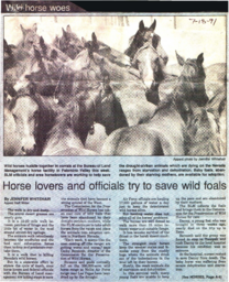 Newspaper Clipping, "Horse lover and official try to save wild foals"