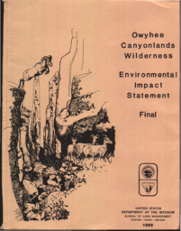 1989 Owyhee Canyonlands Wilderness environmental impact statement (final)