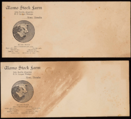 Blank stationary and envelopes from Alamo Stock Farm (Reno, Nevada), John Sparks Carter and Horse Grower (Cheyenne, Wyoming), Sparks Mining Co., John Sparks: Maricopa Oil Co.