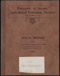 Annual Report for Clark, Lincoln & White Pine Counties