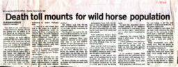 Newspaper clipping, "Death toll mounts on wild horse population"