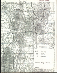Census maps