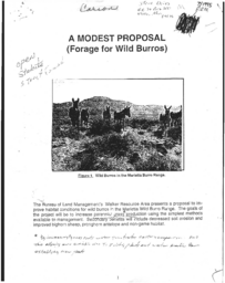 A modest proposal (forage for Wild Burro)