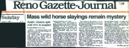 Mass wild horse slayings remain mystery