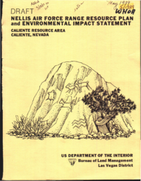 Nellis Air Force Range resource plan and environmental impact statement, draft