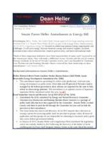 Heller Amendments