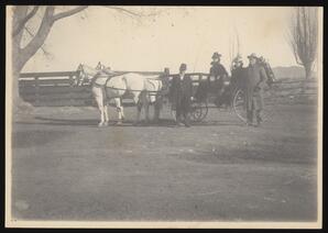 Two men and two women with a horse-drawn buggy