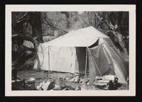 Tent at a campsite