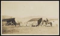 Men working at a ranch