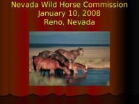 Bureau of Land Management wild horse fertility control research