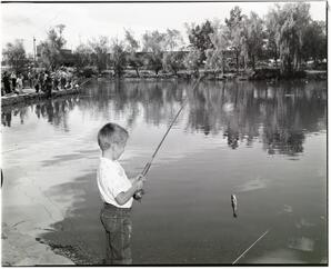 Reno Gazette-Journal Photographs