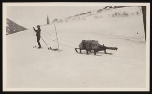 Dr. Church pulling sled with goods while leaving Big Meadows Cabin