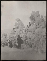 Hikers walking through snow feathered trees, copy 1