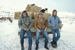 Herders sitting on tailgate of hay truck