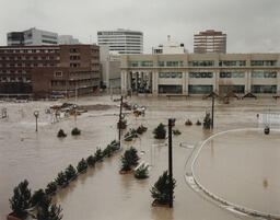 January 1997 Flood. View looking south across flooded Truckee River