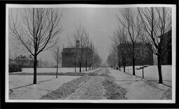 Winter on campus, the Quad, Morrill Hall, and Stewart Hall, 1911