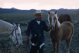 Sheepherder with his horses