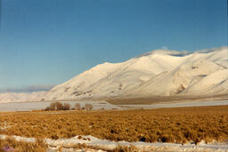 Photograph of Dann Ranch, February 1996