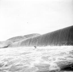 Fish jumping from water at Pyramid Lake Dam