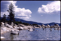 Children swimming around boulders at Lake Tahoe shoreline