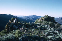 Sheepherder sitting on hilltop