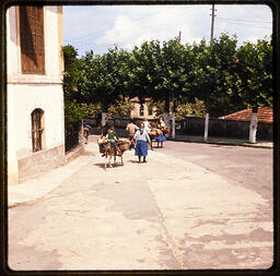 Children riding loaded donkeys  