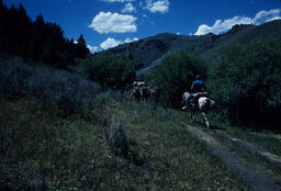 Ranchers on a Mountainside