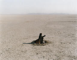 Morning camp fire, playa, looking towards the Black Rock. Black Rock Desert