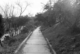 path along Mission Dolores Park, Northbound